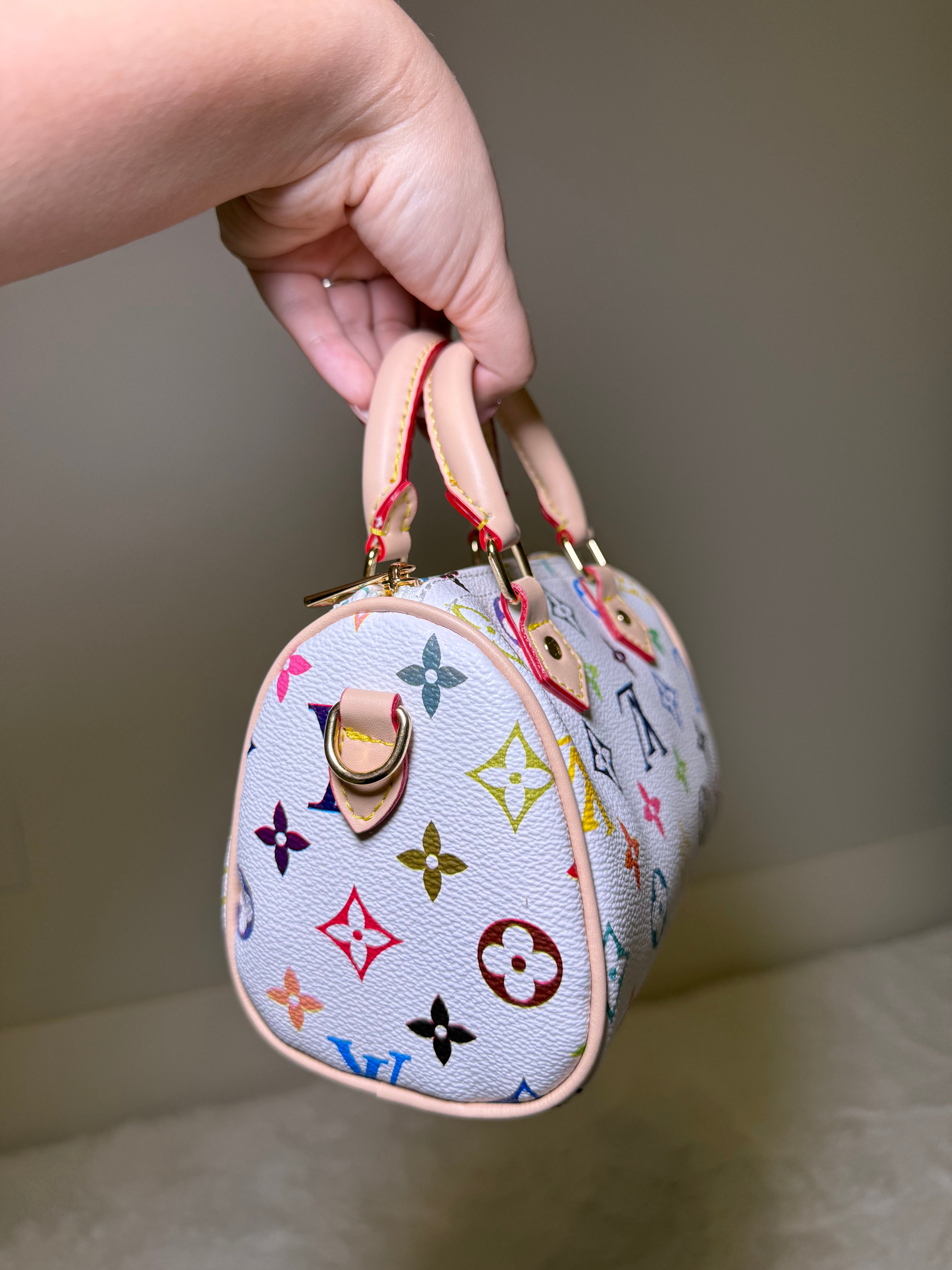 Multicolor Mini Satchel