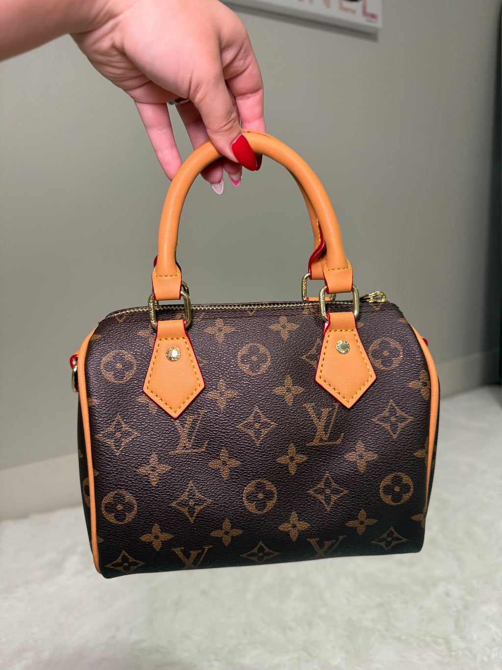 LV brown bag