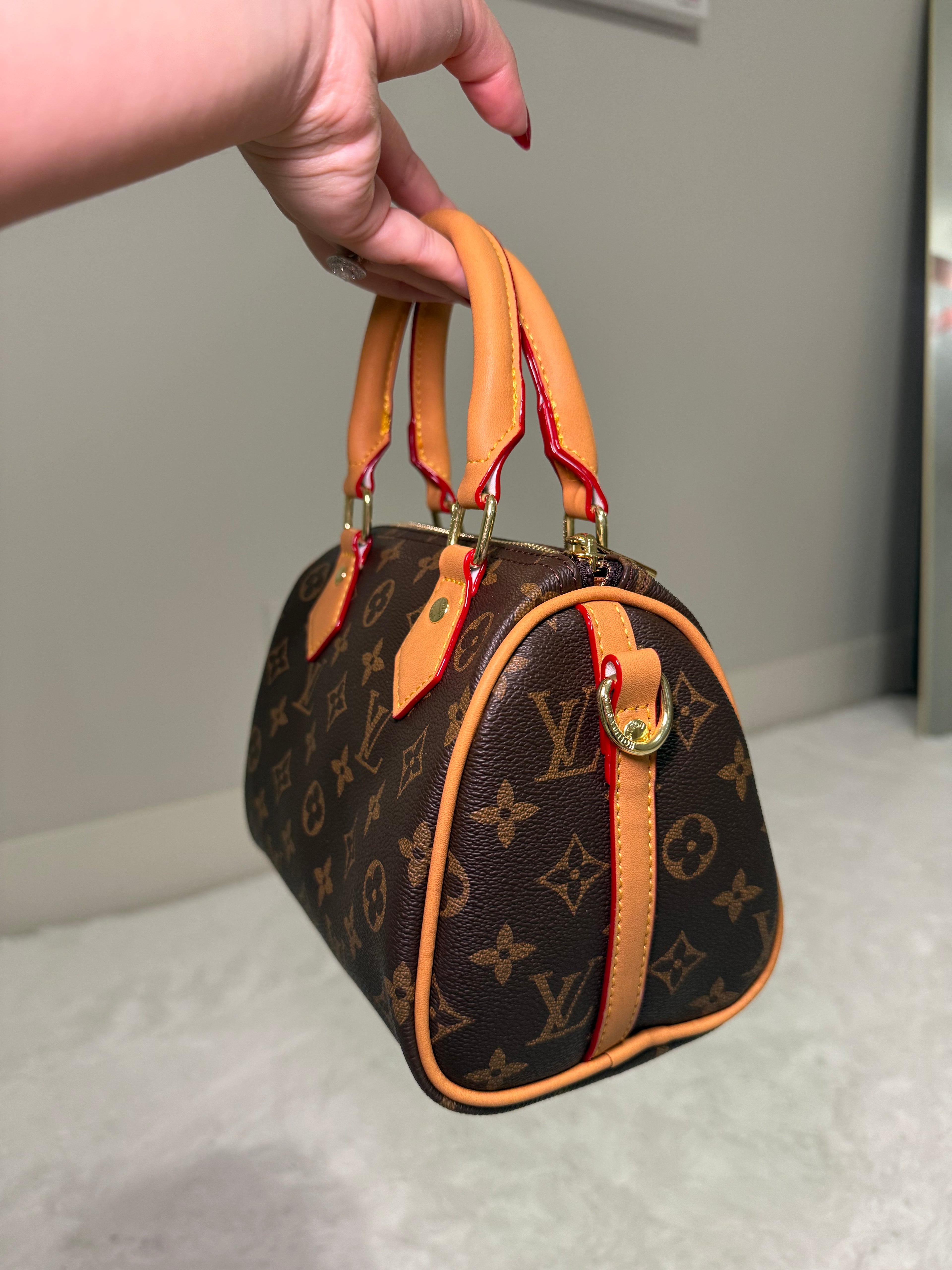 LV brown bag