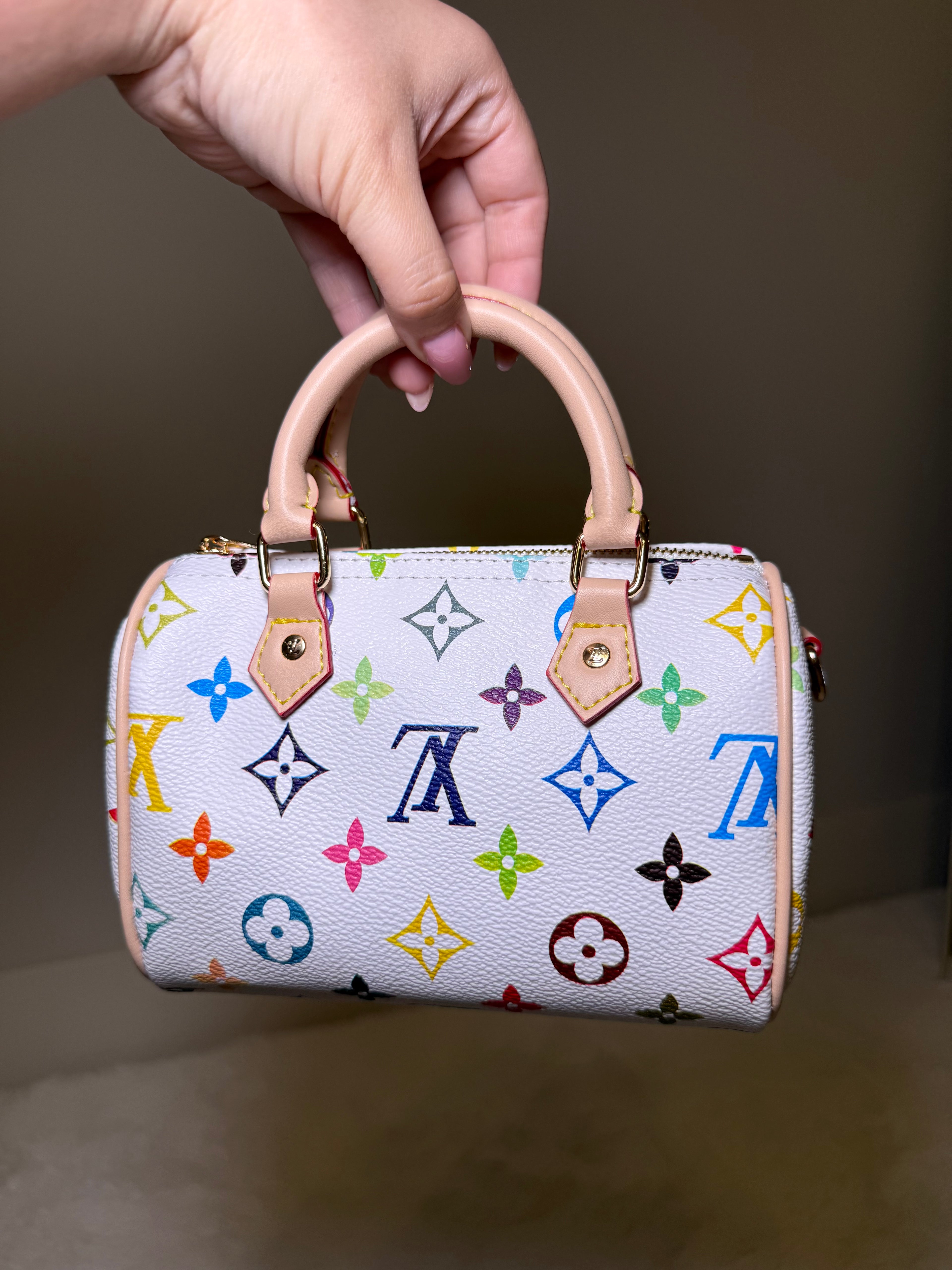 Multicolor Mini Satchel